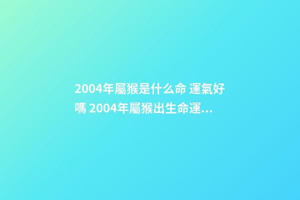 2004年屬猴是什么命 運氣好嗎 2004年屬猴出生命運如何-第1張-觀點-玄機派